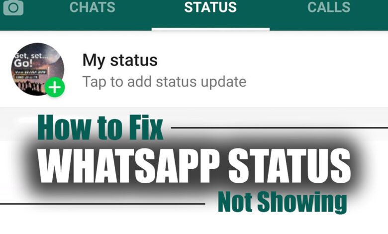 How to Fix WhatsApp Status Not Showing?