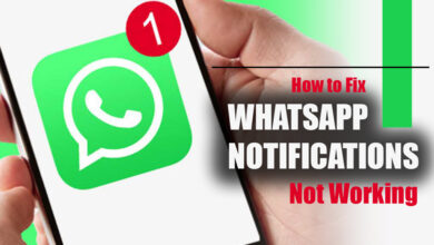 How to Fix WhatsApp Notifications Not Working?