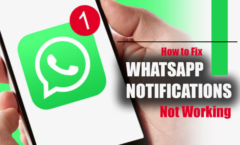 How to Fix WhatsApp Notifications Not Working?