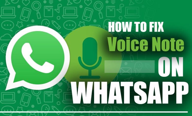 How to Fix Voice Note on WhatsApp?