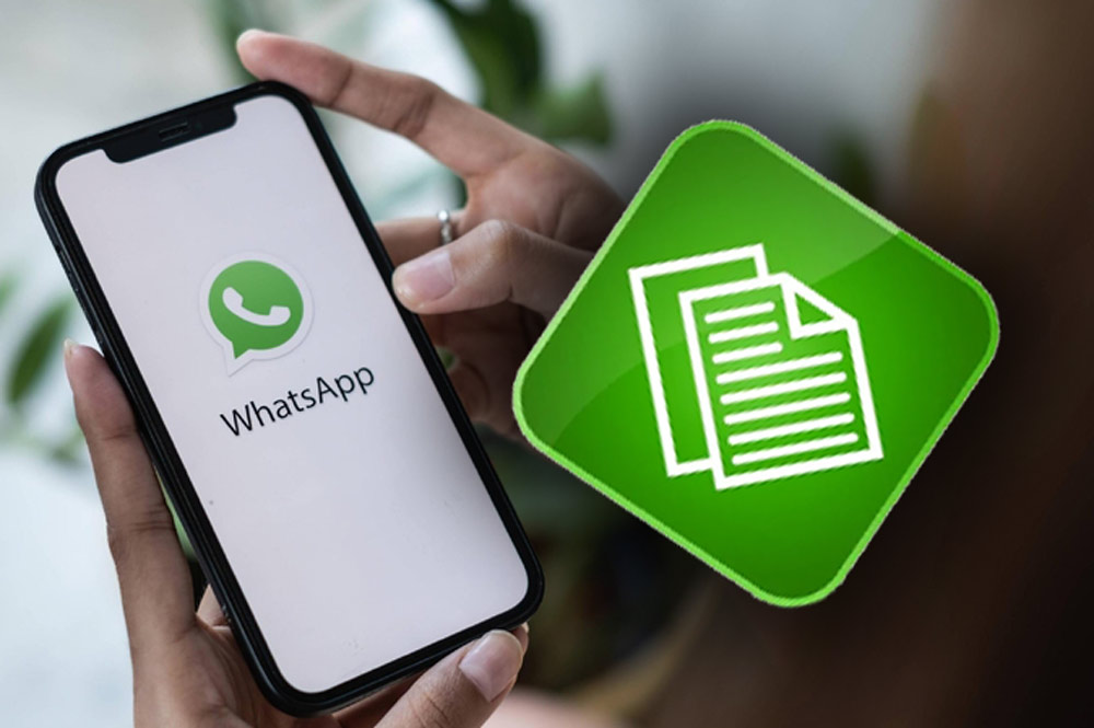 How to Fix WhatsApp Download Failed?
