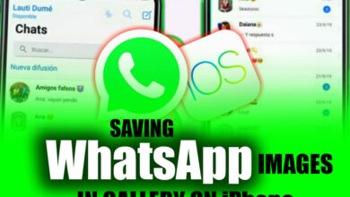 How to Save WhatsApp Images in Gallery on iPhone?
