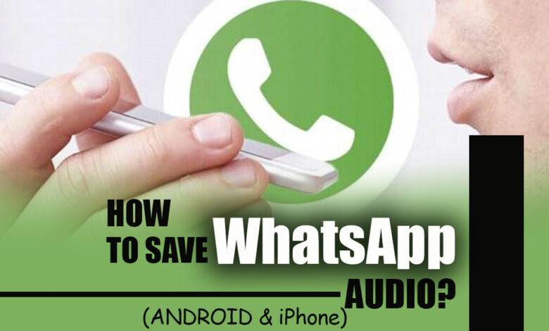 How to Save WhatsApp Audio [in Android and iPhone]?
