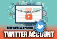 How to View a Private Twitter Account 2022?