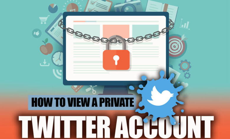 How to View a Private Twitter Account 2022?