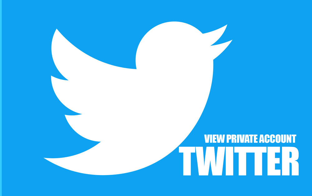 How to View a Private Twitter Account 2022?
