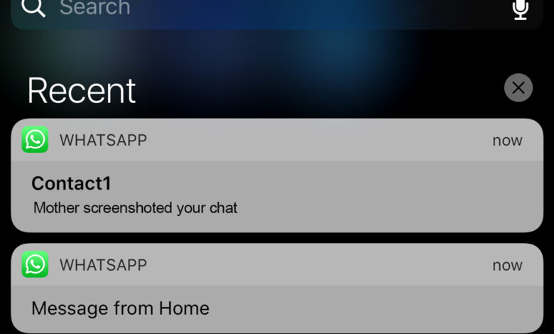 Does WhatsApp Notify Screenshots of Disappearing Messages?