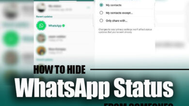 How to Hide WhatsApp Status from Someone?