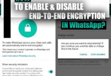 How to Disable End-to-End Encryption in WhatsApp? (TIPS & STEPS)