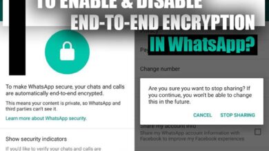 How to Disable End-to-End Encryption in WhatsApp? (TIPS & STEPS)
