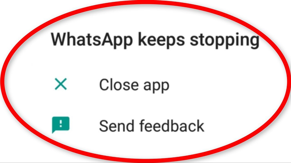 Fixing "WhatsApp Keeps Crashing" on Android Devices Is Easier Than You Think
