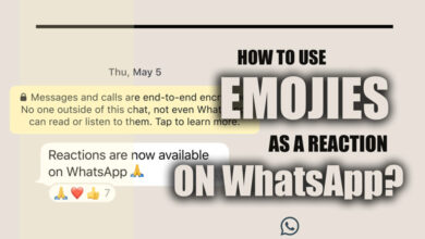 How to use Emojis as a Reaction on WhatsApp?