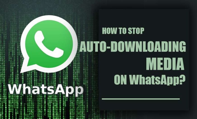 How to stop auto-downloading media on WhatsApp?