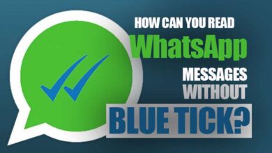 How Can You Read WhatsApp Messages Without Blue Tick?