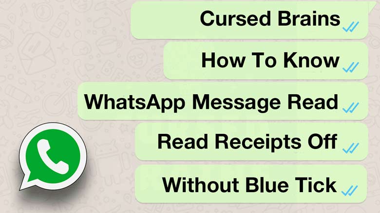 How Can You Read WhatsApp Messages Without Blue Tick?
