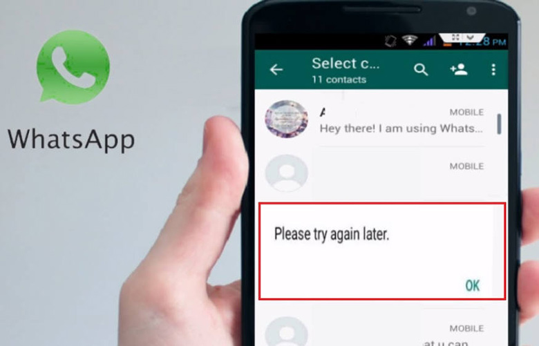 How can you fix the error that contacts aren't appearing in WhatsApp?
