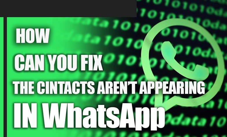 How can you fix the error that contacts aren't appearing in WhatsApp?