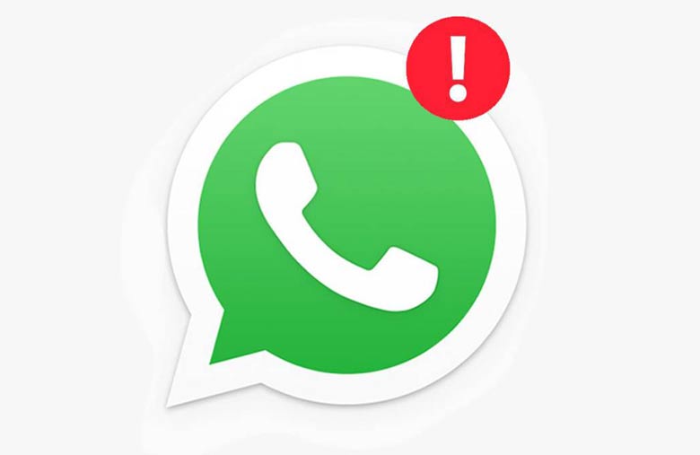 How can you fix the error that contacts aren't appearing in WhatsApp?
