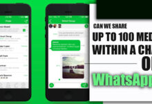 Can We Share Up to 100 Media within a Chat on WhatsApp (All Tips & Tricks)