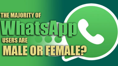 The Majority of WhatsApp Users Are Male or Female?