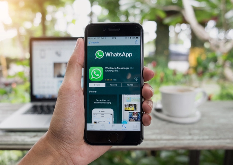 What Can We Do When the WhatsApp Not Functioning Issue?
