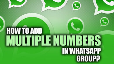 How to Add Multiple Numbers in WhatsApp Group?
