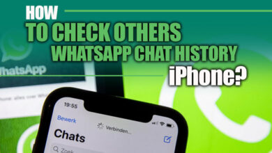 How to Check Others WhatsApp Chat History iPhone?