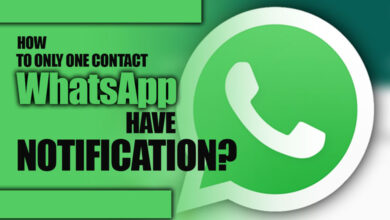 How to Only 1 Contact WhatsApp Have Notification