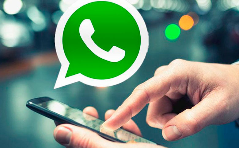 How to Only 1 Contact WhatsApp Have Notification?
