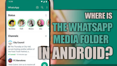 Where Is the WhatsApp Media Folder in Android?