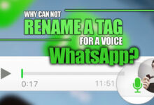 Why can't Rename a Tag for a Voice WhatsApp?