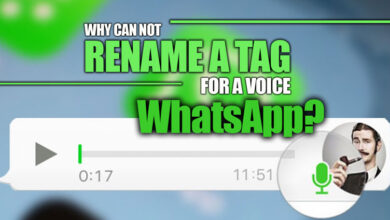 Why can't Rename a Tag for a Voice WhatsApp?