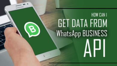 How Can I Get Data from WhatsApp Business API
