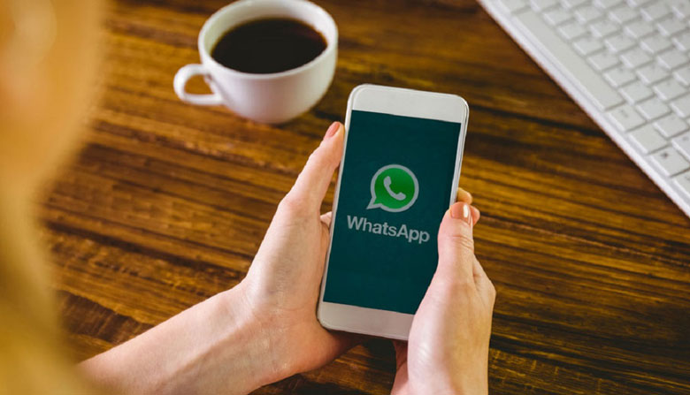 How to send 1000 messages on WhatsApp at once?
