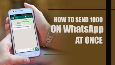 How to send 1000 messages on WhatsApp at once?