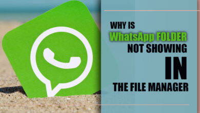 Why is the WhatsApp folder not showing in the file manager